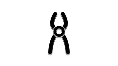 Beyaz arkaplanda siyah diş pensesi simgesi izole edildi. Diş aletleri. 4K Video hareketli grafik canlandırması.