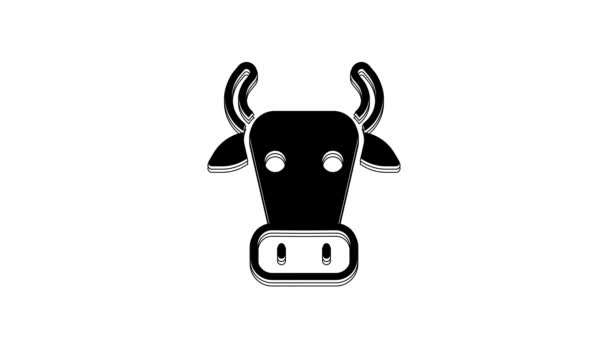Black Cow Icon Isolated White Background Video Motion Graphic Animation — Wideo stockowe