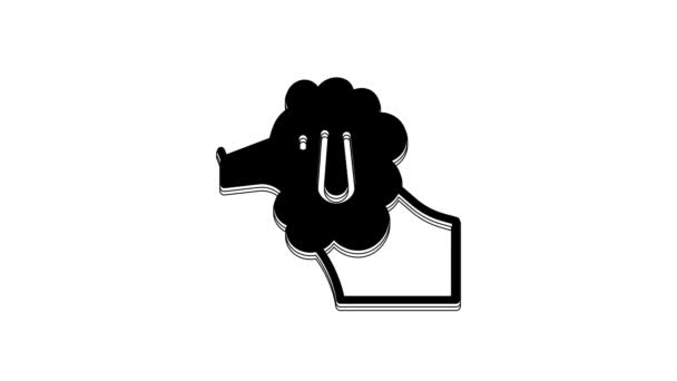 Black French Poodle Dog Icon Isolated White Background Video Motion — Stock Video