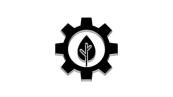 Black Leaf Plant Ecology Gear Machine Icon Isolated White Background — Video