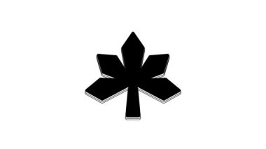 Black Chestnut leaf icon isolated on white background. 4K Video motion graphic animation.
