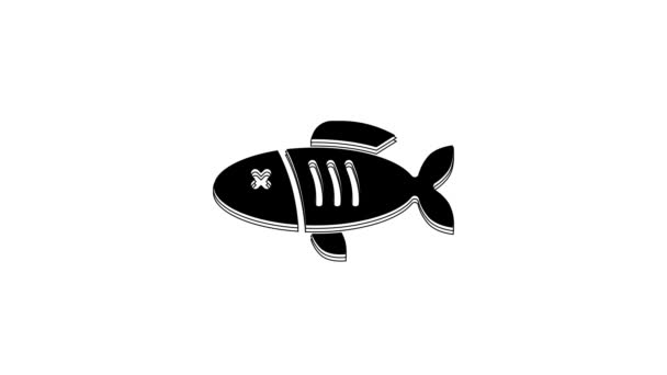 Black Trockenfisch Symbol Isoliert Auf Weißem Hintergrund Video Motion Grafik — Stockvideo