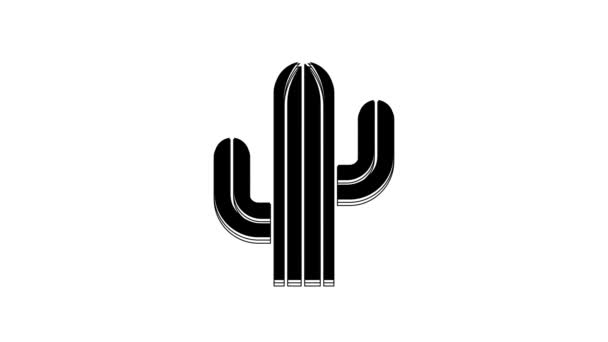Black Cactus Icon Isolated White Background Video Motion Graphic Animation — Stockvideo