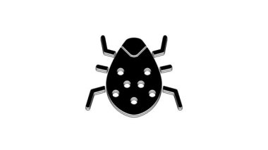 Siyah Sistem hata konsepti simgesi beyaz arkaplanda izole edildi. Kod hatası konsepti. Sistemde hata var. Böcek araması. 4K Video hareketli grafik canlandırması.