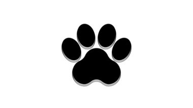 Siyah Pençe yazdırma simgesi beyaz arkaplanda izole edildi. Köpek ya da kedi pençesi izi. Hayvan izleri. 4K Video hareketli grafik canlandırması.