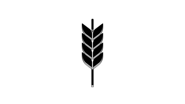 옥수수 우상을 배경에 놓았다 상징입니다 비디오 그래픽 애니메이션 — 비디오