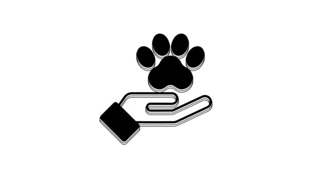 Black Hands Animals Footprint Icon Isolated White Background Pet Paw — Stock Video