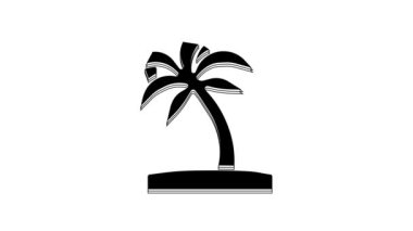 Black Tropical palm tree icon isolated on white background. Coconut palm tree. 4K Video motion graphic animation.