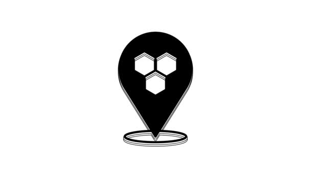 Black Honeycomb Bee Location Map Pin Pointer Icon Isolated White — Vídeo de stock