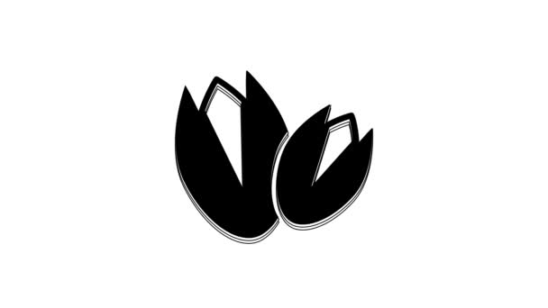 白を基調とした黒のピスタチオナッツのアイコン 4Kビデオモーショングラフィックアニメーション — ストック動画