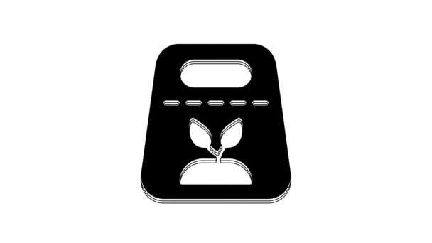 Black Pack Full Seeds Specific Plant Icon Isolated White Background — Wideo stockowe