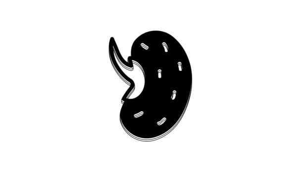 Black Seeds Specific Plant Icon Isolated White Background Video Motion — 图库视频影像