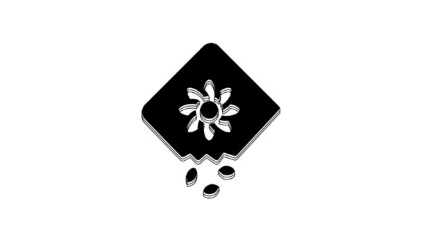 Black Pack Full Seeds Specific Plant Icon Isolated White Background — Stock video