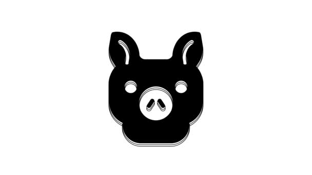 Black Pig Icon Isolated White Background Animal Symbol Video Motion — 图库视频影像