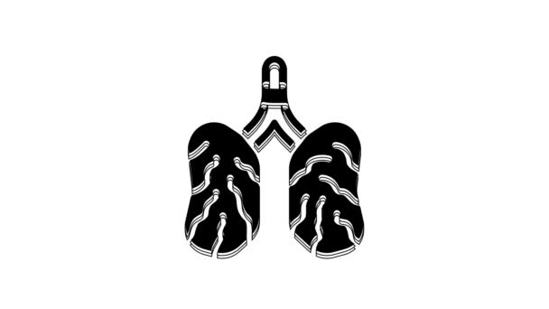Black Disease Lungs Icon Isolated White Background Video Motion Graphic — Stockvideo