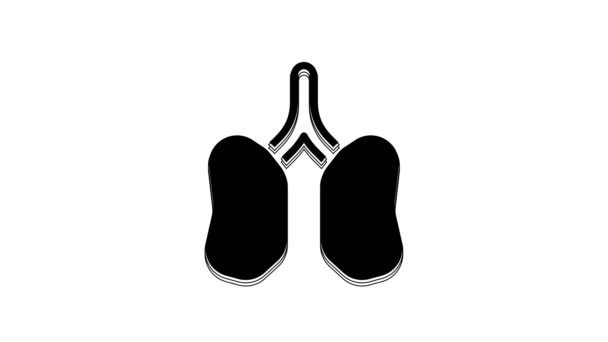 Black Lungs Icon Isolated White Background Video Motion Graphic Animation — Stockvideo