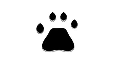 Black Bear paw footprint icon isolated on white background. 4K Video motion graphic animation.