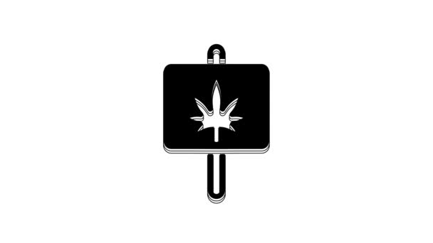 Black Medical Marijuana Cannabis Leaf Icon Isolated White Background Hemp — Stockvideo