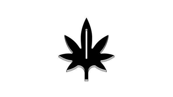Black Medical Marijuana Ícone Folha Cannabis Isolado Fundo Branco Símbolo — Vídeo de Stock
