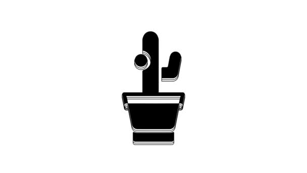 Black Cactus 성공적 항아리 아이콘은 배경에 분리되어 화분에 식물이 자라고 — 비디오