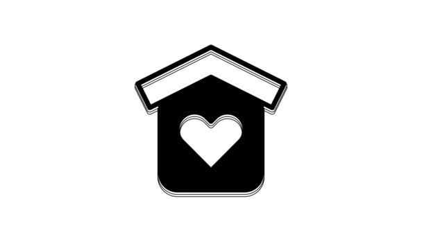 Black Shelter Homeless Icon Isolated White Background Emergency Housing Temporary — ストック動画