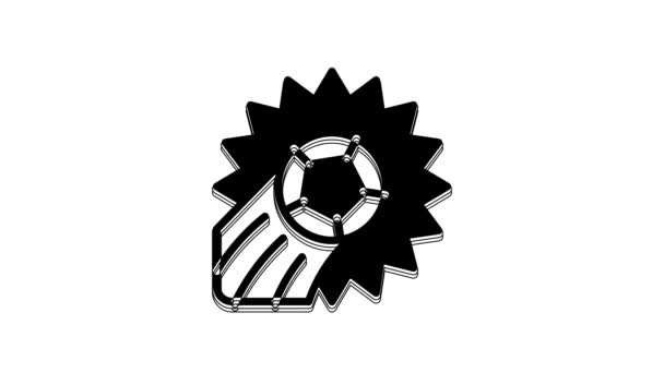 白い背景に黒サッカーボールのアイコンが隔離されています スポーツ用具 4Kビデオモーショングラフィックアニメーション — ストック動画