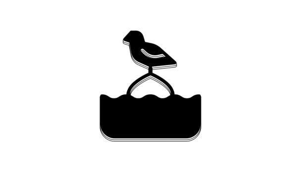 Black Seagull Sits Buoy Sea Icon Isolated White Background Video — Video