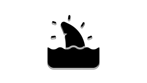 Black Shark Fin Ocean Wave Icon Isolated White Background Video — Stock Video