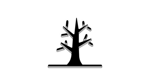 Black Bare Tree Icon Isolated White Background Video Motion Graphic — стоковое видео