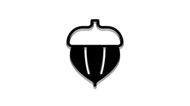 Black Acorn icon isolated on white background. 4K Video motion graphic animation.