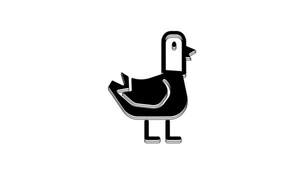 Icono Black Dove Aislado Sobre Fondo Blanco Animación Gráfica Vídeo — Vídeo de stock