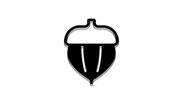 Black Acorn Icon Isolated White Background Video Motion Graphic Animation — Vídeo de Stock