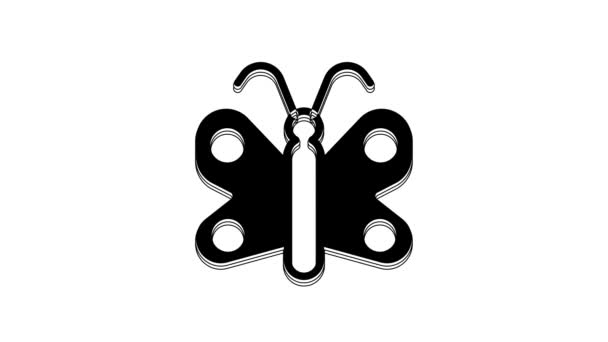 Black Butterfly Icon Isolated White Background Video Motion Graphic Animation — Vídeo de stock