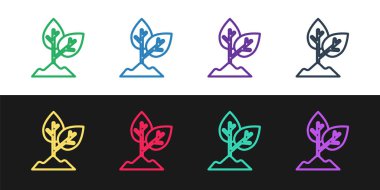 Çizgi Bitki simgesini siyah ve beyaz arkaplanda izole et. Tohum ve tohum. İşaret bırakıyor. Yaprak doğası. Vektör.