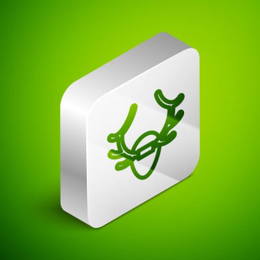 Isometric line Deer antlers on shield icon isolated on green background. Hunting trophy on wall. Silver square button. Vector.