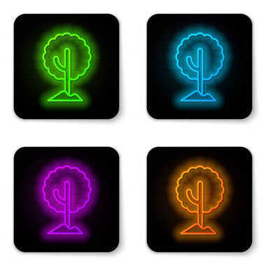 Beyaz arkaplanda parlayan neon çizgi simgesi izole edildi. Orman sembolü. Siyah kare düğme. Vektör.