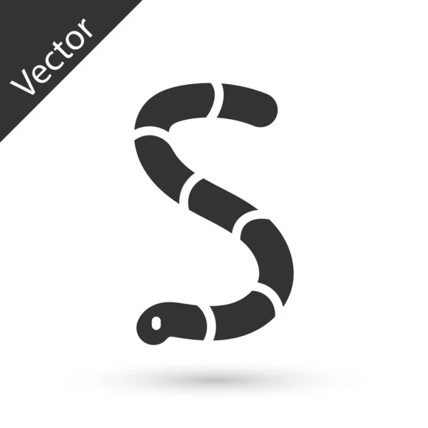 Ikona Šedého Červa Izolovaná Bílém Pozadí Rybářské Náčiní Vektor — Stockový vektor