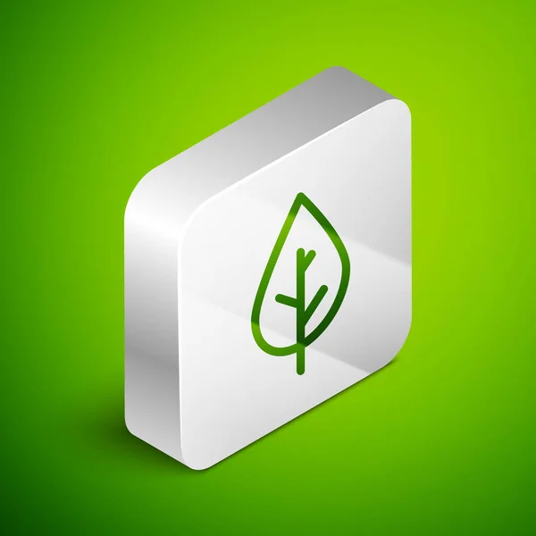 Izometrická Čára Ikona Listu Izolovaná Zeleném Pozadí Čerstvý Symbol Přírodního — Stockový vektor