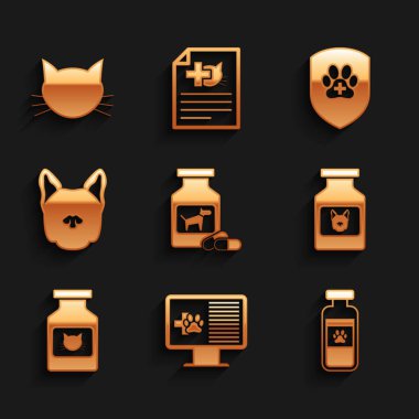 Köpek ilacı şişesini ve hapları hazırla, klinik kayıt hayvanını monitöre ver, evcil hayvan şişesi tıbbı, kedi ve ikon. Vektör