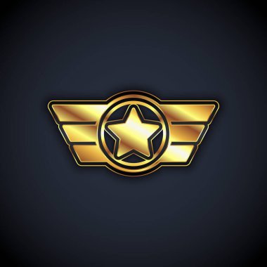 Siyah arka planda izole edilmiş Altın Yıldız Amerikan askeri ikonu. Askeri rozetler. Ordu bantları. Vektör
