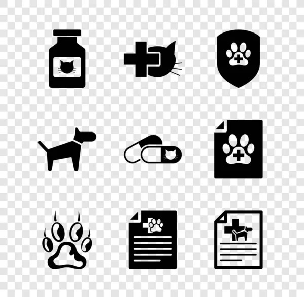 猫の薬瓶 獣医クリニック 動物健康保険 紙印刷 犬や猫の医療証明書やアイコンを設定します ベクトル — ストックベクタ