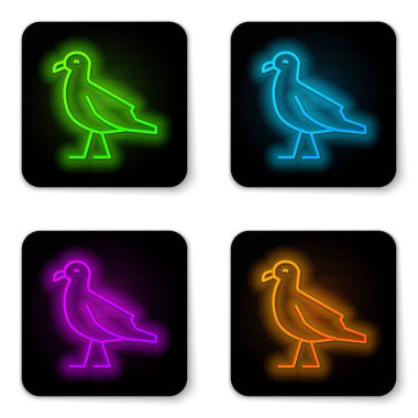 Parlayan neon hattı kuş martı simgesi beyaz arkaplanda izole edildi. Siyah kare düğme. Vektör