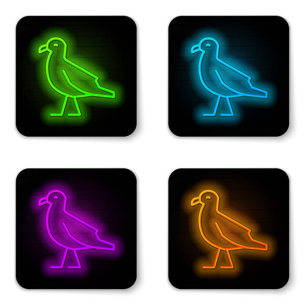 Glowing neon line Bird seagull icon isolated on white background. Black square button. Vector