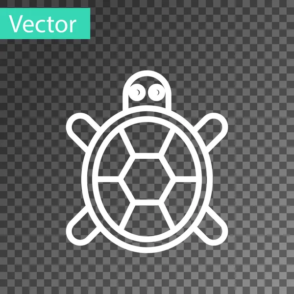 Hvid Linje Skildpadde Ikon Isoleret Gennemsigtig Baggrund Vektor – Stock-vektor