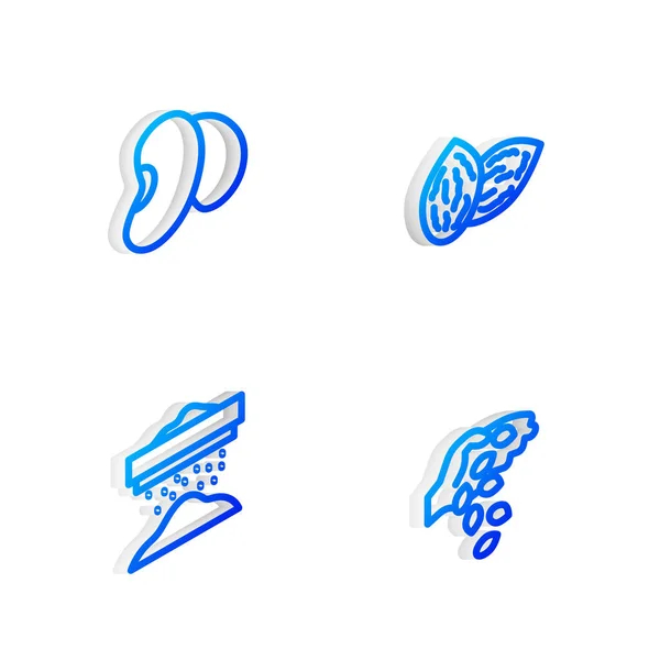 Set Isometric Line Seed Beans Sifting Flour Icon Vector — Stock Vector