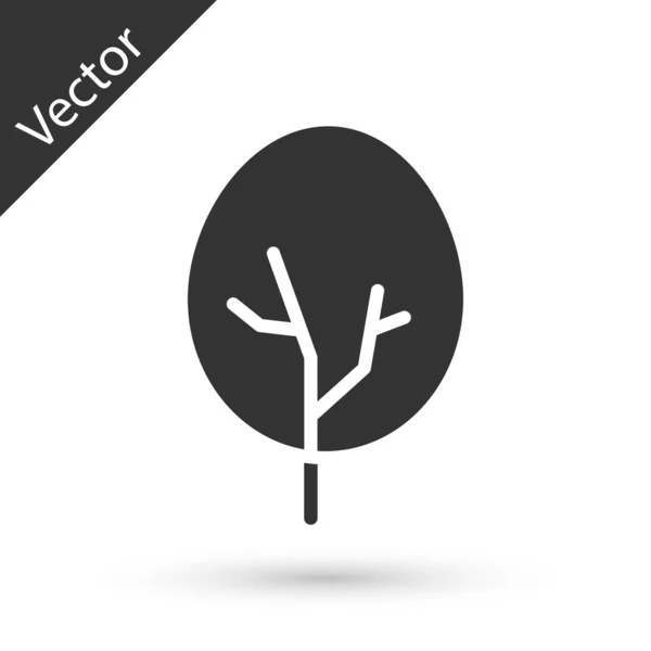 Иконка Серого Дерева Выделена Белом Фоне Символ Леса Вектор — стоковый вектор