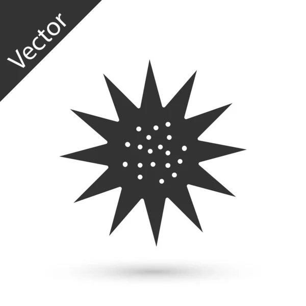 Икона Серых Морских Ежей Выделена Белом Фоне Вектор — стоковый вектор