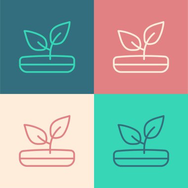 Pop Art Line Sprout simgesi renk arkaplanında izole edildi. Tohum ve tohum. İşaret bırakıyor. Yaprak doğası. Vektör