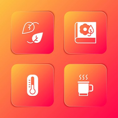 Set Yaprak, Herbaryum, Termometre ve bir fincan çay ikonu. Vektör