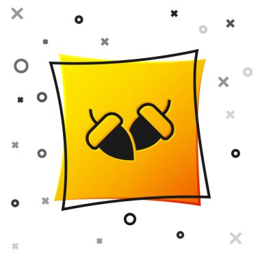 Siyah meşe palamudu beyaz arka planda izole edilmiş. Sarı kare düğme. Vektör.